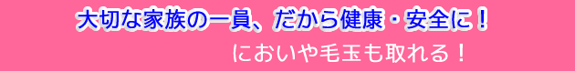 ���������Ō�m�w�@�ł̃e�X�g�^�C�g��